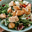 Plant Based Diet Must Knows