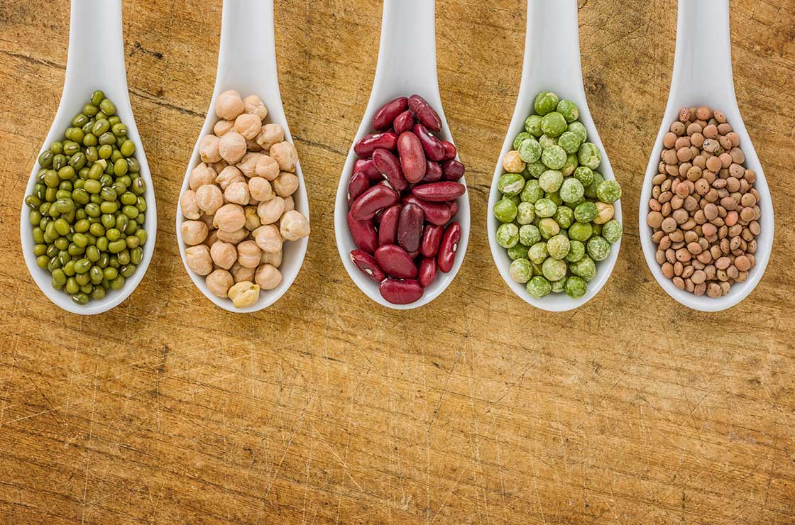 Lower Risk for Cardiovascular Disease by Replacing Some Animal Proteins with Plant Proteins