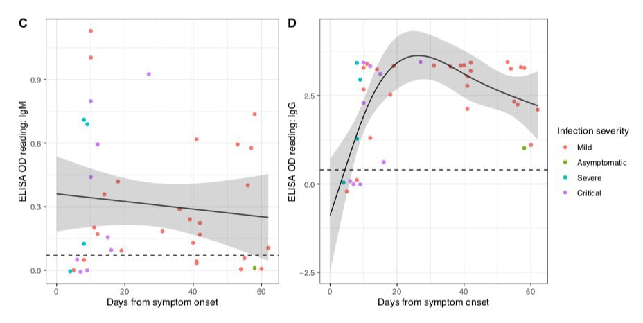 And here is the initial curve for SARS-CoV2 showing on the right a drop in IgG after only a few months: 