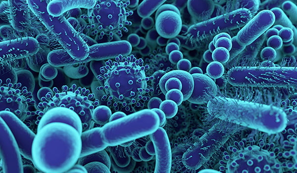 A picture of microorganisms that are part of your gut biome.