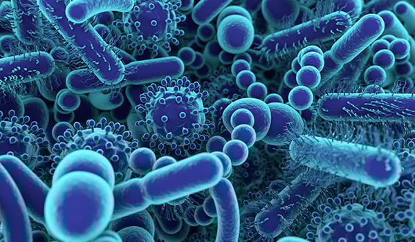 A picture of microorganisms that are part of your gut biome.