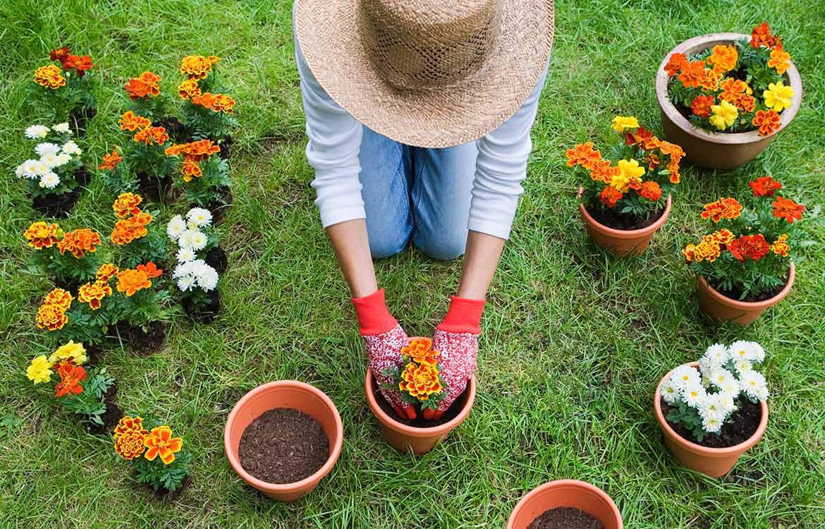 How to prevent heat injuries while gardening