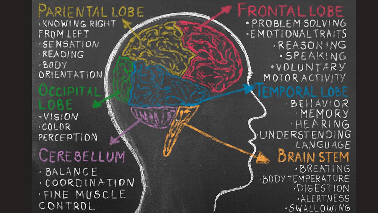 Optimizing Brain Function: Key Strategies for Wellness