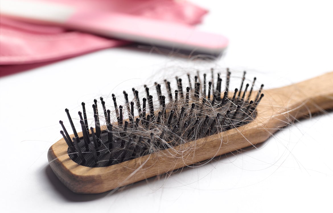 Grey hair in brush