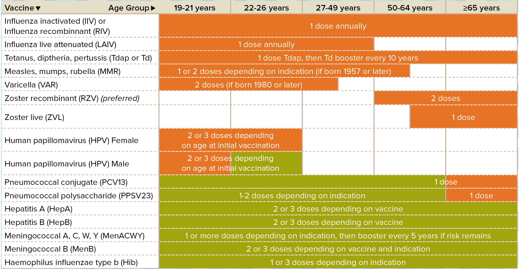Adult Vaccine Schedule