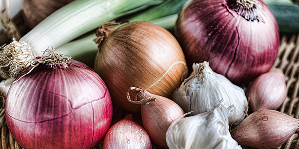 Onions, leeks and garlic are all considered prebiotic.