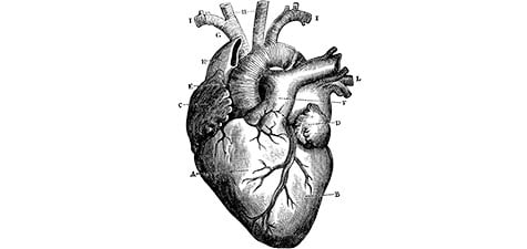 Heart disease discussion guide download