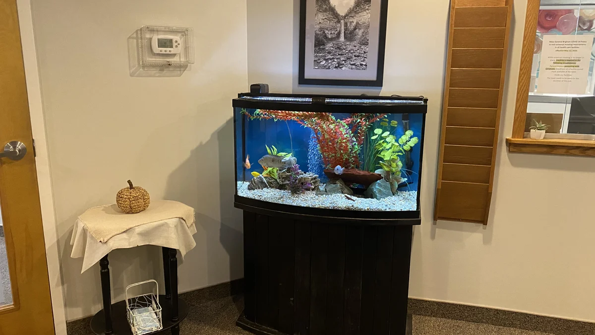 fish tank
