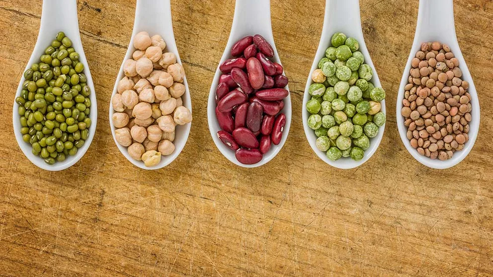 Lower Risk for Cardiovascular Disease by Replacing Some Animal Proteins with Plant Proteins