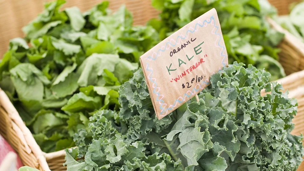 High Calcium Foods and Sudden Cardiac Arrest