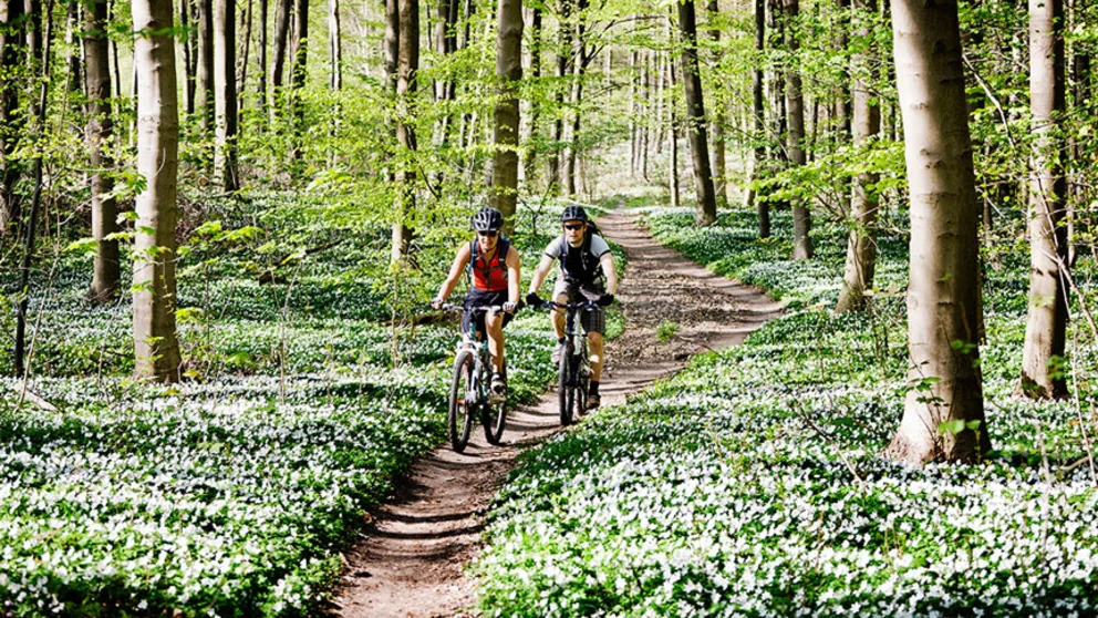 Cycling outdoors in the afternoon