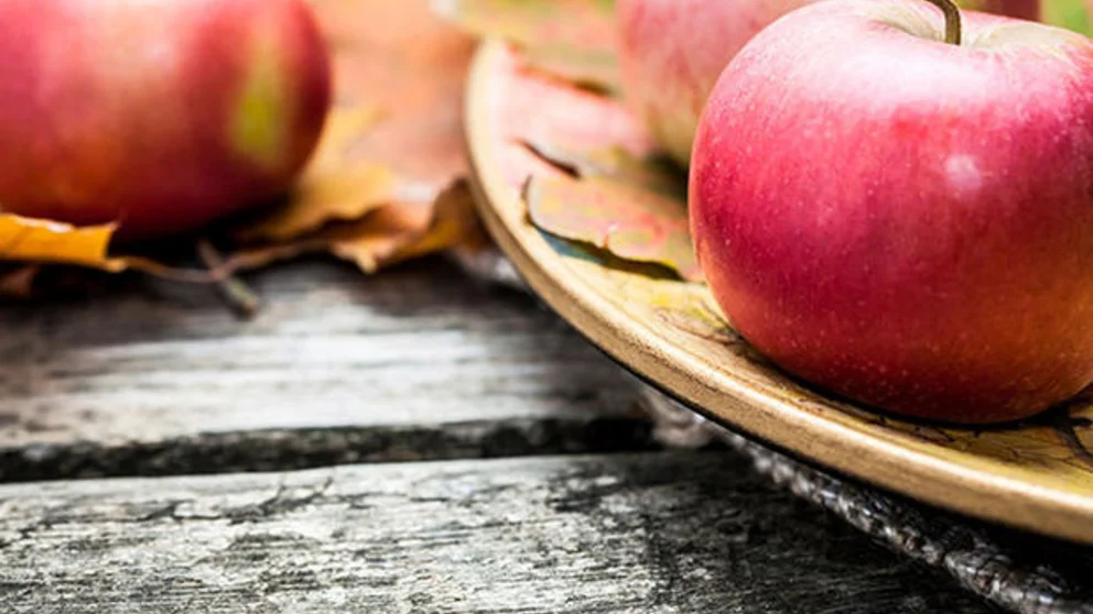 Healthy Holiday Eating for Patients with Kidney Disease