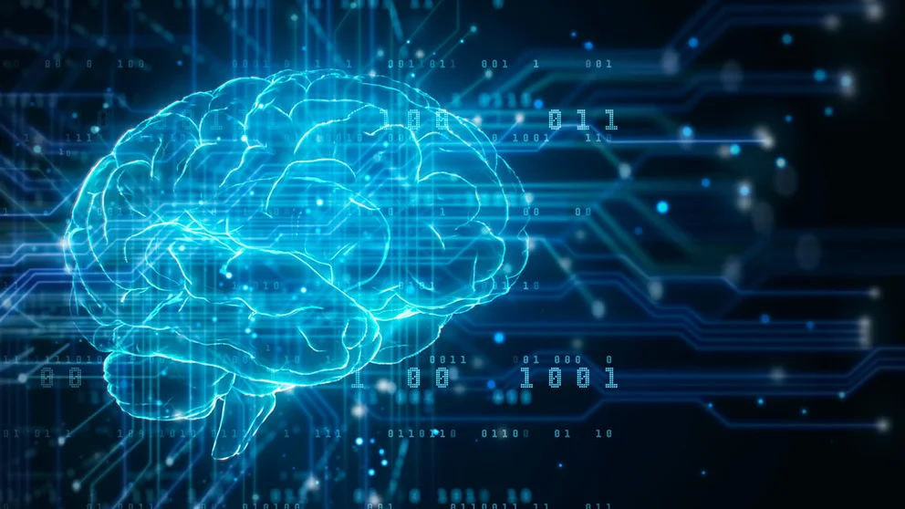 Brain Activity
