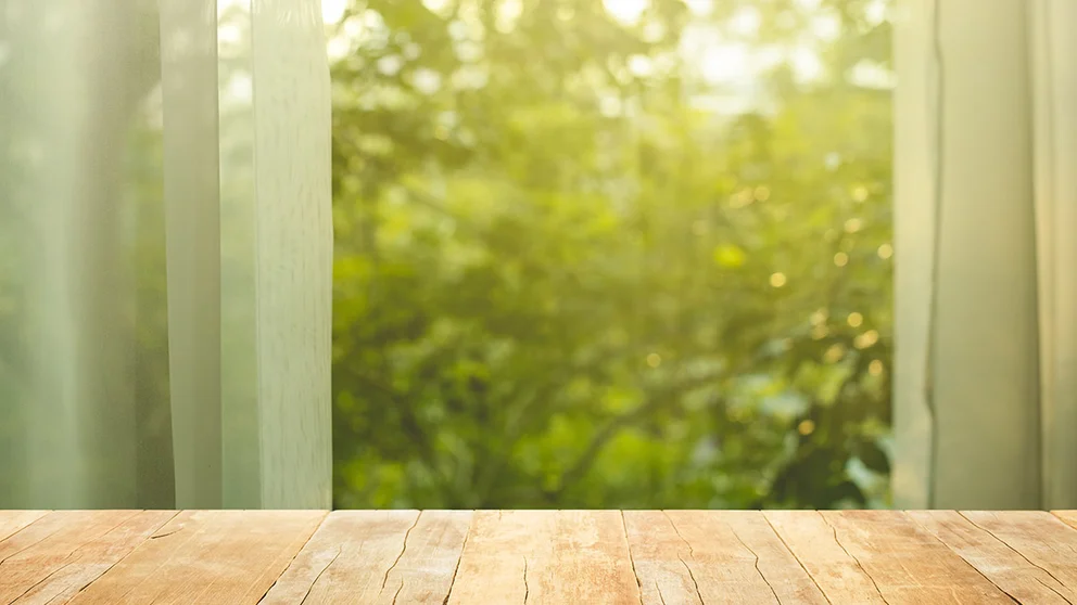 Protect Your Home (and Health) From Mold 
