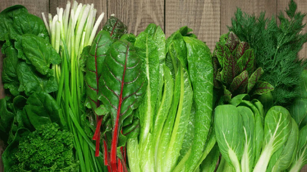 eating leafy greens help reduce dementia risk