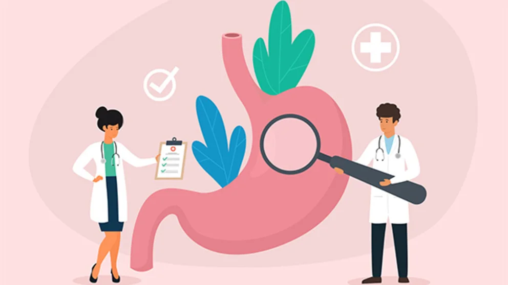 Your gut biome, illustrated here, are all the microorganisms that help keep your digestive tract healthy.
