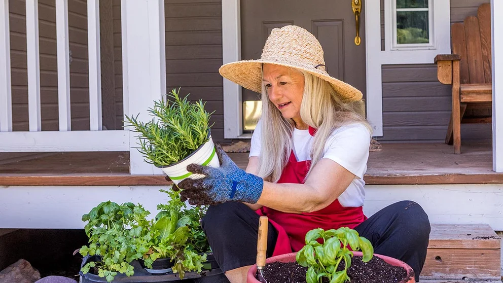 10 Easy-to-Grow Superfood Herbs and Spices