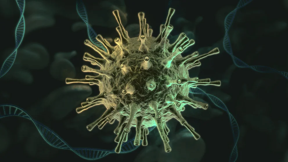 Do the COVID-19 Vaccines Protect Against New Coronavirus Variants?
