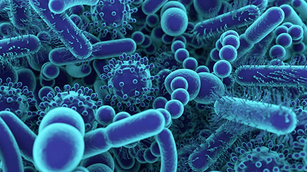 A picture of microorganisms that are part of your gut biome.