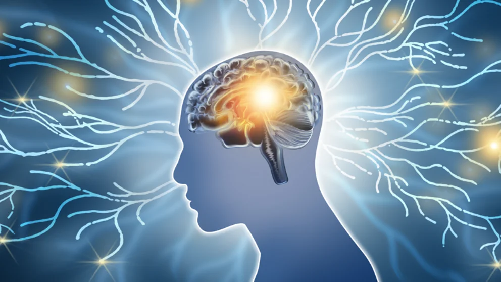 Illustration representing brain health, neuroplasticity and healthy aging