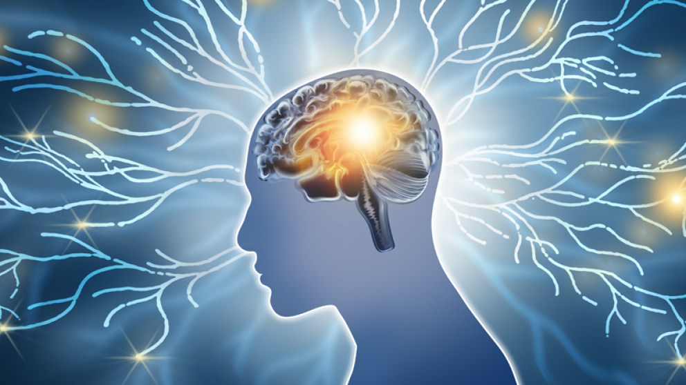 Illustration representing brain health, neuroplasticity and healthy aging