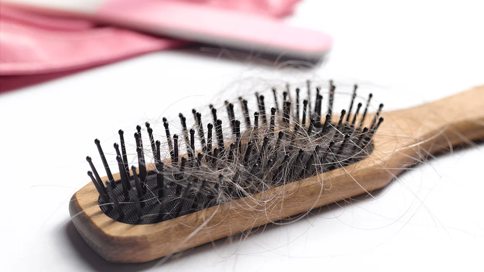 Grey hair in brush