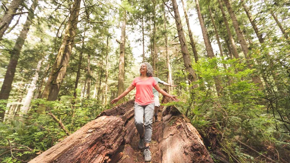 Permethrin Treated Clothing May Protect You from Tick-Borne Illnesses