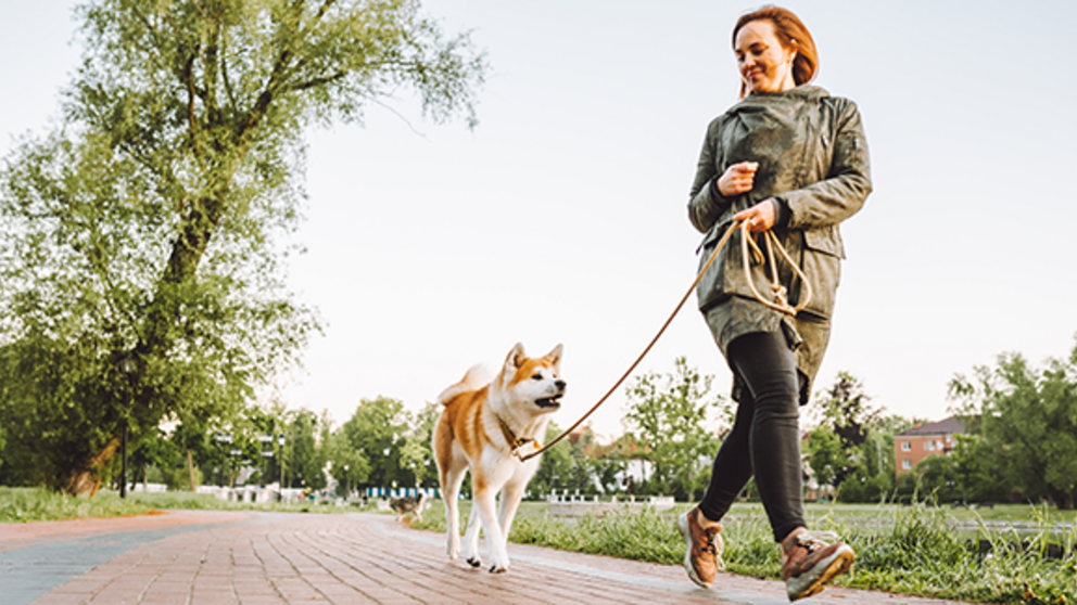 A woman walks her dog.