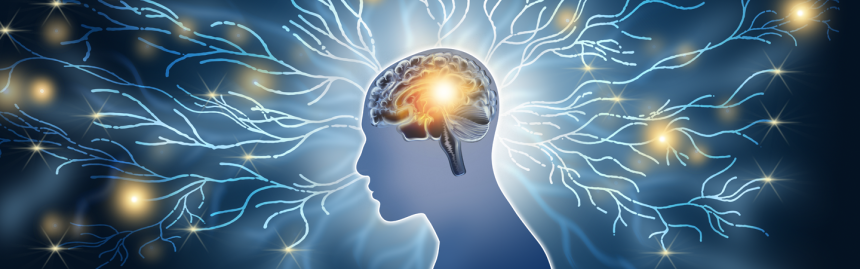 Illustration representing brain health, neuroplasticity and healthy aging