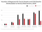 Chart displaying all cause deaths and CVD deaths attributable to various risk factors