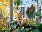 4 Mental Health Benefits of Gardening