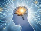 Illustration representing brain health, neuroplasticity and healthy aging